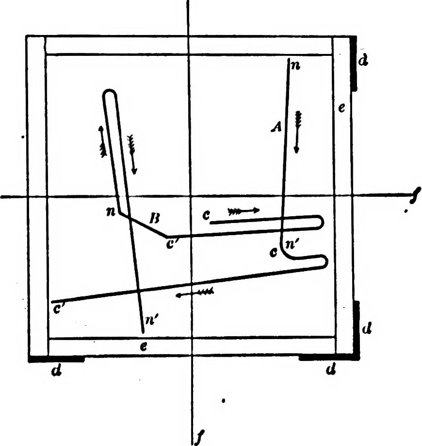 An illustration from Light and the behavior of organisms, 1911, leaf 294