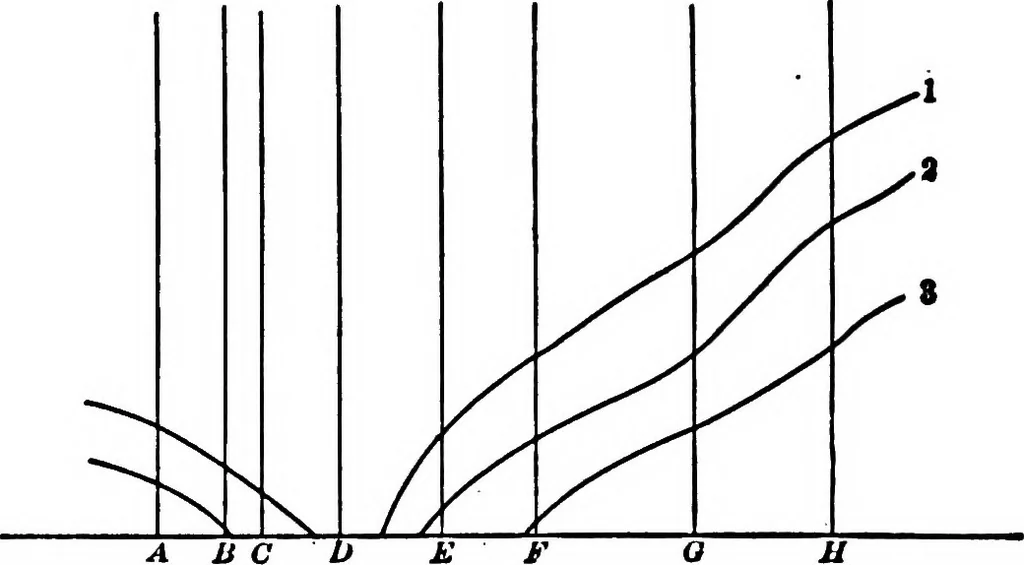 An illustration from Light and the behavior of organisms, 1911, leaf 342