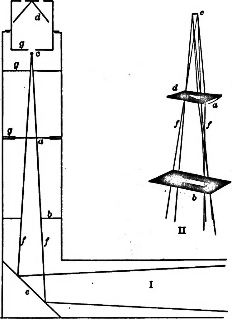An illustration from Light and the behavior of organisms, 1911, leaf 87