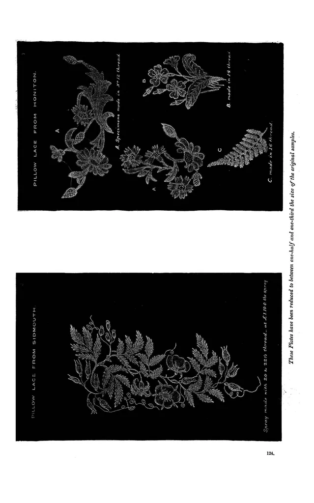 An illustration from Honiton lace industry: copy of report, 1888, leaf 14