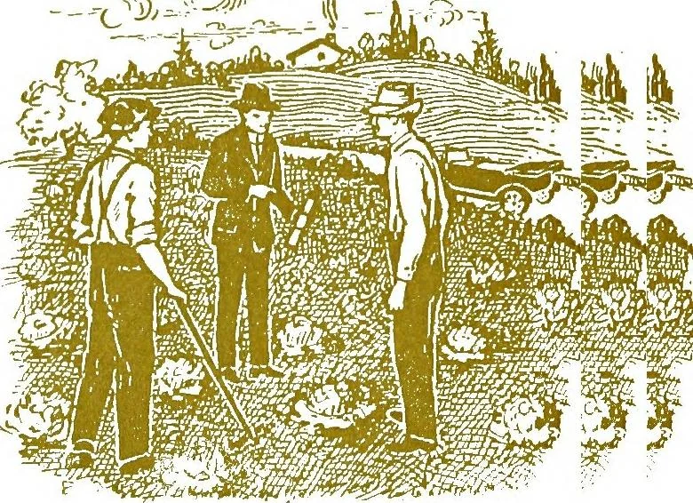 An illustration from General impressions of the country merchant, 1916, leaf 18