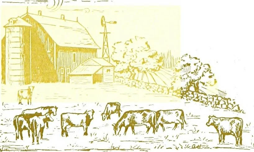 An illustration from General impressions of the country merchant, 1916, leaf 24