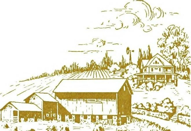 An illustration from General impressions of the country merchant, 1916, leaf 25
