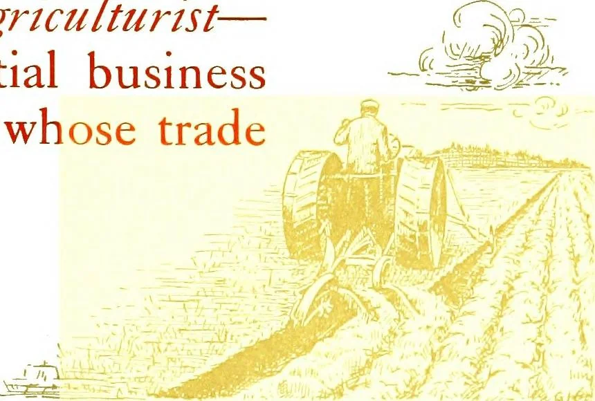 An illustration from General impressions of the country merchant, 1916, leaf 29