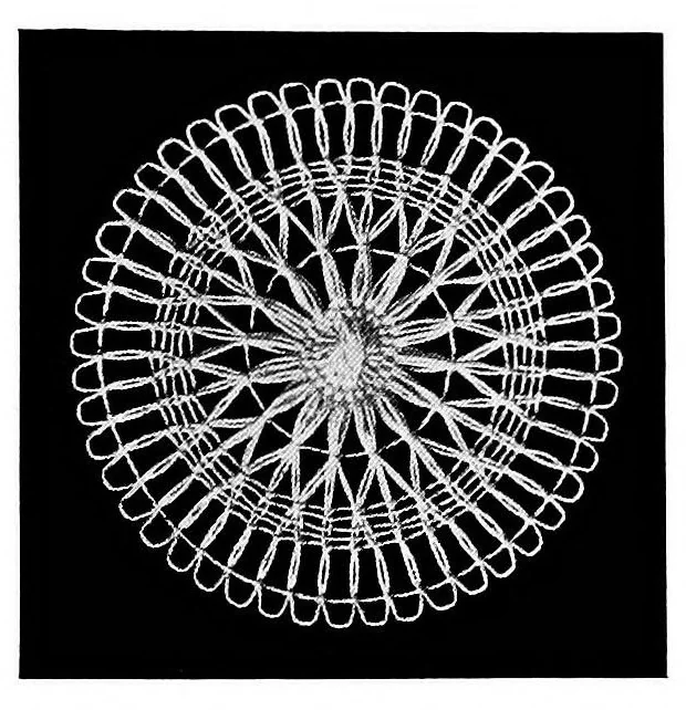 An illustration from Teneriffe lace : designs and instructions, 1904, leaf 10