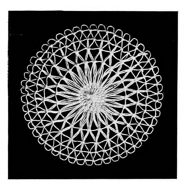 An illustration from Teneriffe lace : designs and instructions, 1904, leaf 19