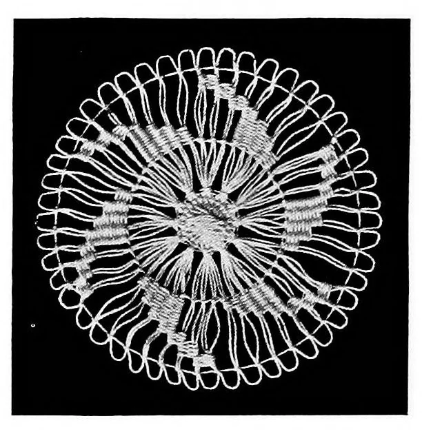 An illustration from Teneriffe lace : designs and instructions, 1904, leaf 25