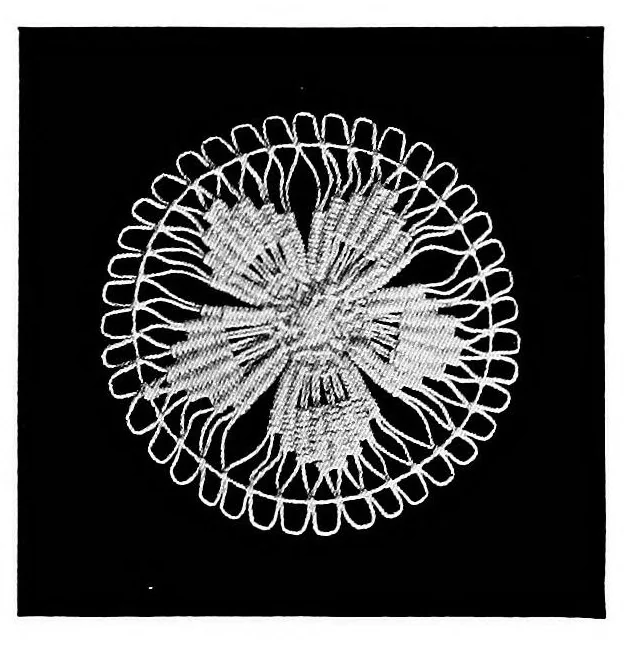 An illustration from Teneriffe lace : designs and instructions, 1904, leaf 32