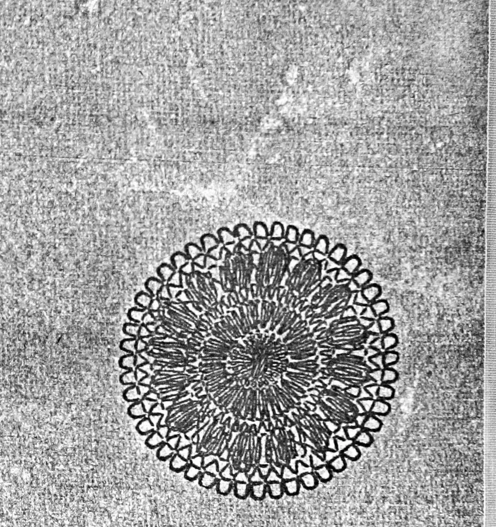 An illustration from Teneriffe lace : designs and instructions, 1904, leaf 53