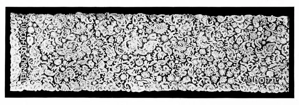 An illustration from Collection of antique laces and brocades of Max Littwitz, 1900, leaf 25