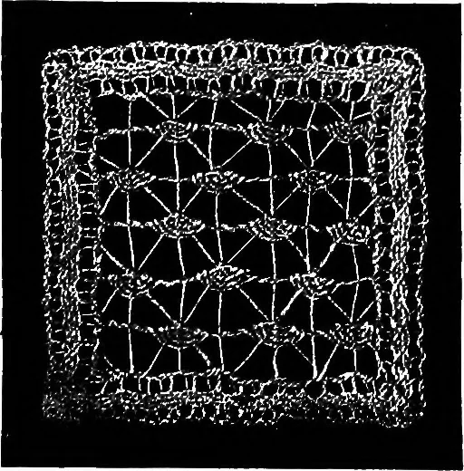 An illustration from The Priscilla Battenberg and point lace book; a collection of lace stitches with working directions for braid laces, 1912, leaf 33