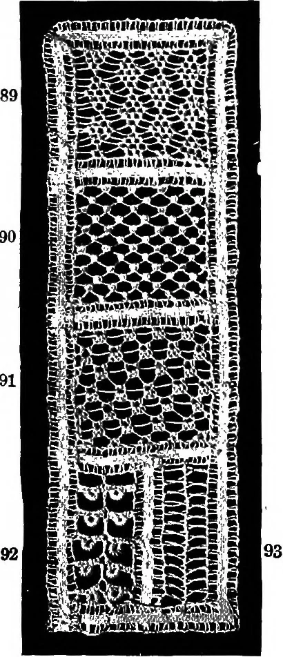 An illustration from The Priscilla Battenberg and point lace book; a collection of lace stitches with working directions for braid laces, 1912, leaf 39