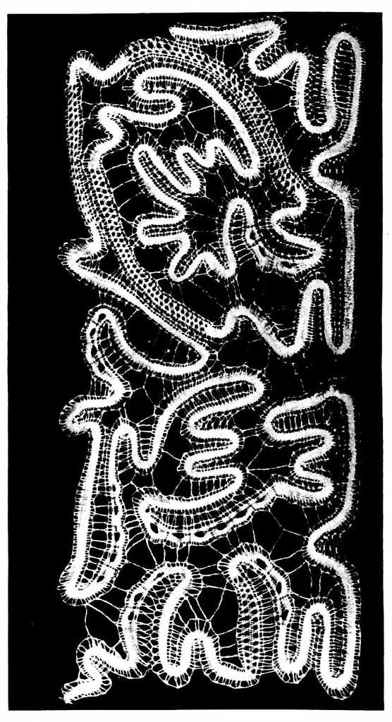 An illustration from Lace-making in the Midlands : past and present, 1900, leaf 104