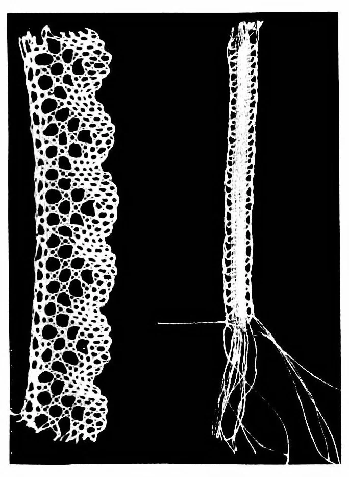 An illustration from Lace-making in the Midlands : past and present, 1900, leaf 22