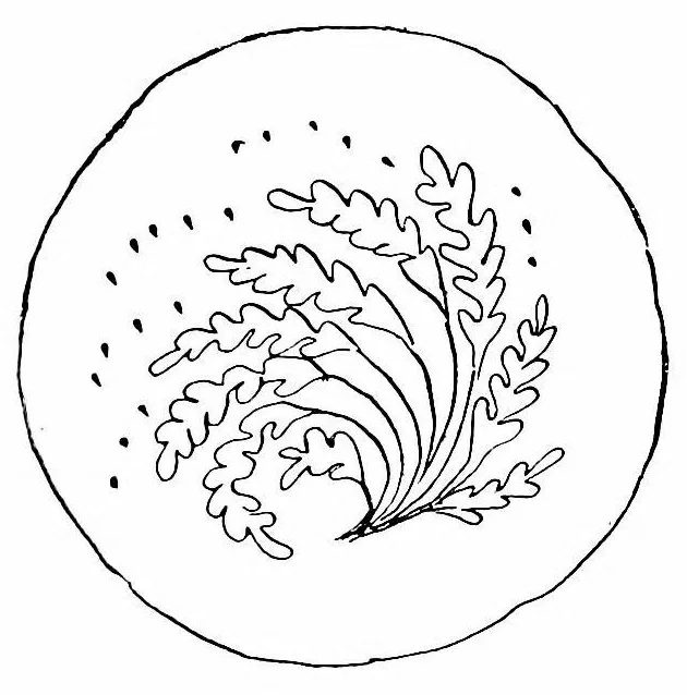 An illustration from Lace-making in the Midlands : past and present, 1900, leaf 75