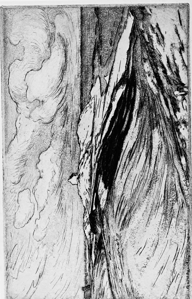 An illustration from Modern etchings, mezzotints and dry-points, 1913, leaf 183