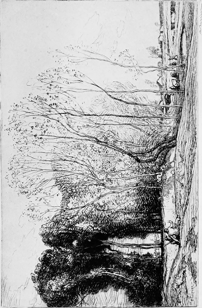 An illustration from Modern etchings, mezzotints and dry-points, 1913, leaf 193