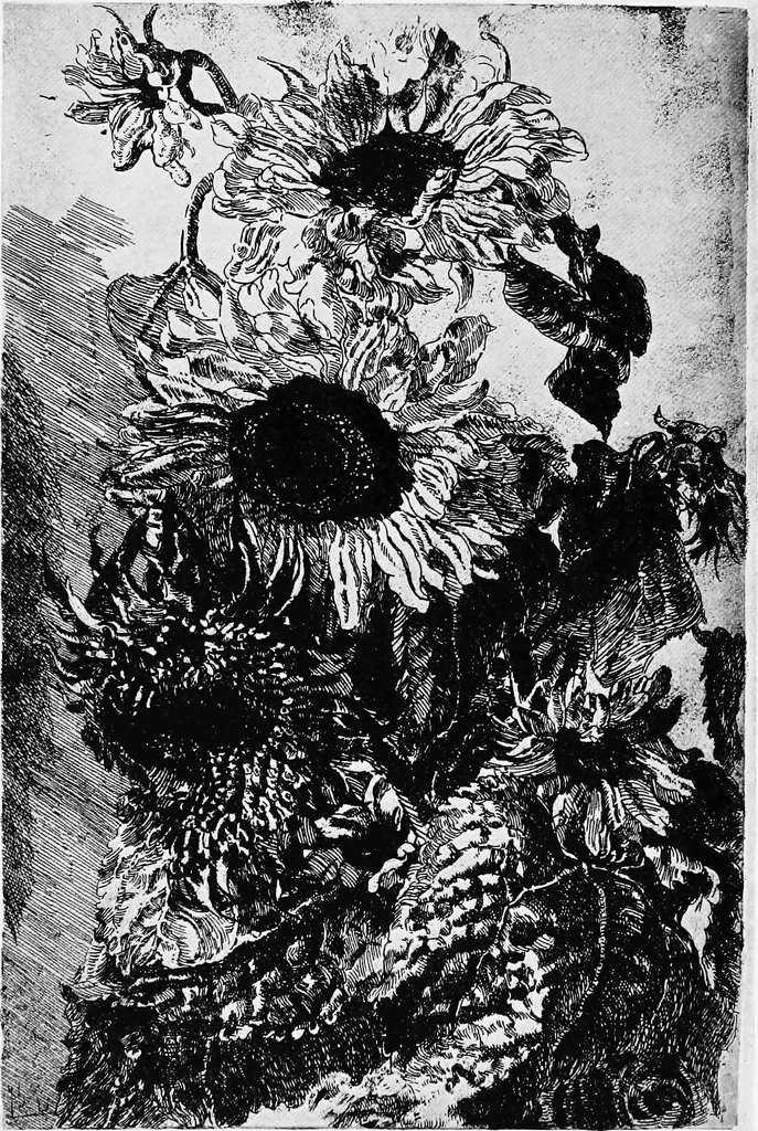 An illustration from Modern etchings, mezzotints and dry-points, 1913, leaf 217
