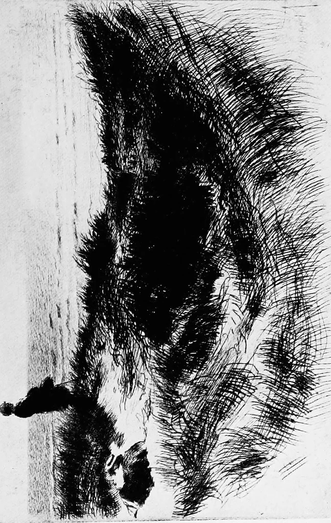 An illustration from Modern etchings, mezzotints and dry-points, 1913, leaf 254