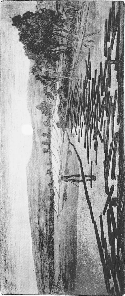 An illustration from Modern etchings, mezzotints and dry-points, 1913, leaf 282