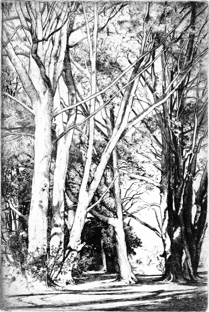 An illustration from Modern etchings, mezzotints and dry-points, 1913, leaf 32