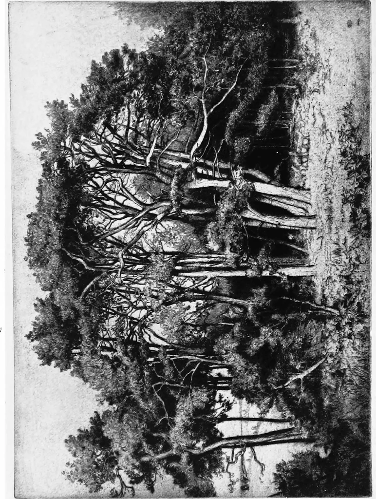 An illustration from Modern etchings, mezzotints and dry-points, 1913, leaf 33