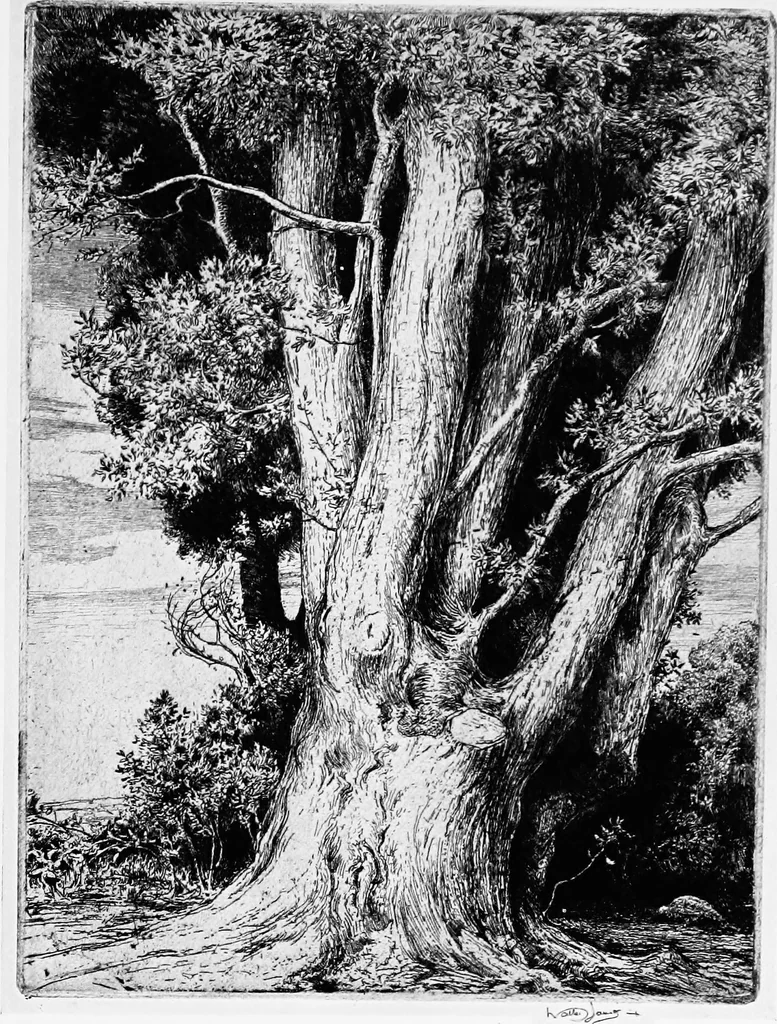 An illustration from Modern etchings, mezzotints and dry-points, 1913, leaf 76