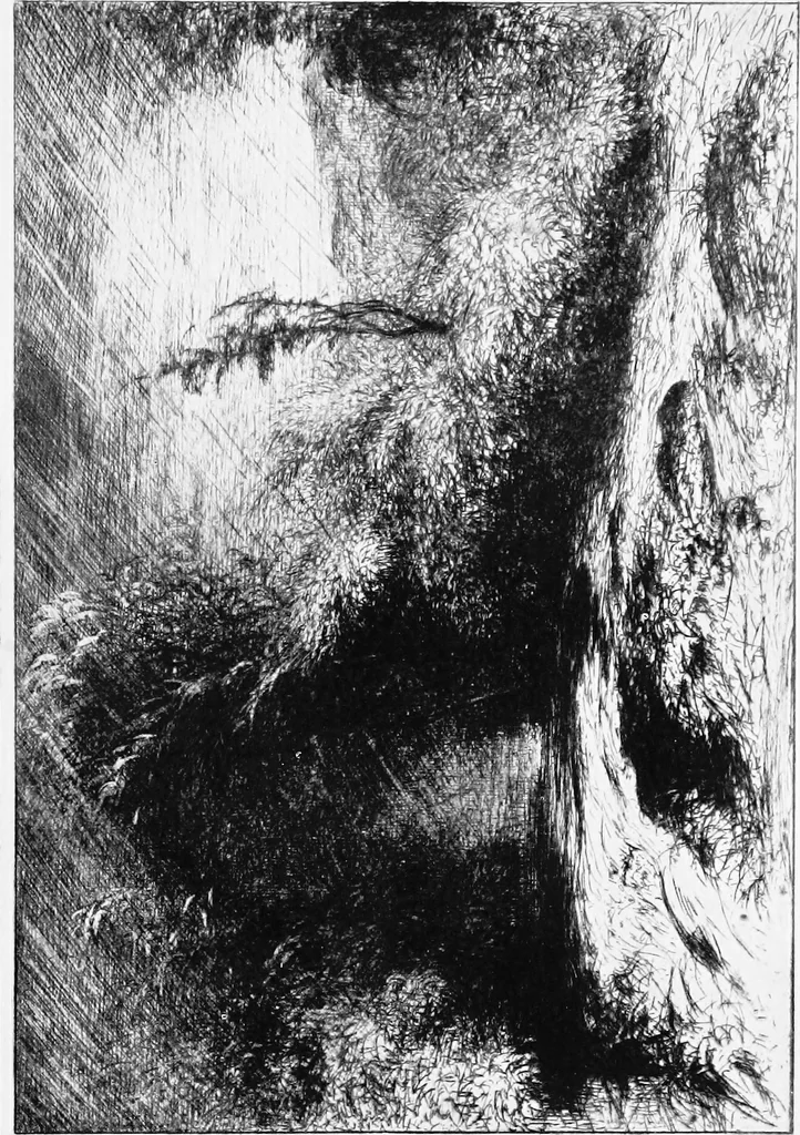 An illustration from Modern etchings, mezzotints and dry-points, 1913, leaf 94