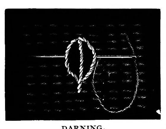 An illustration from Doyley and centre-piece book, 1896, leaf 20