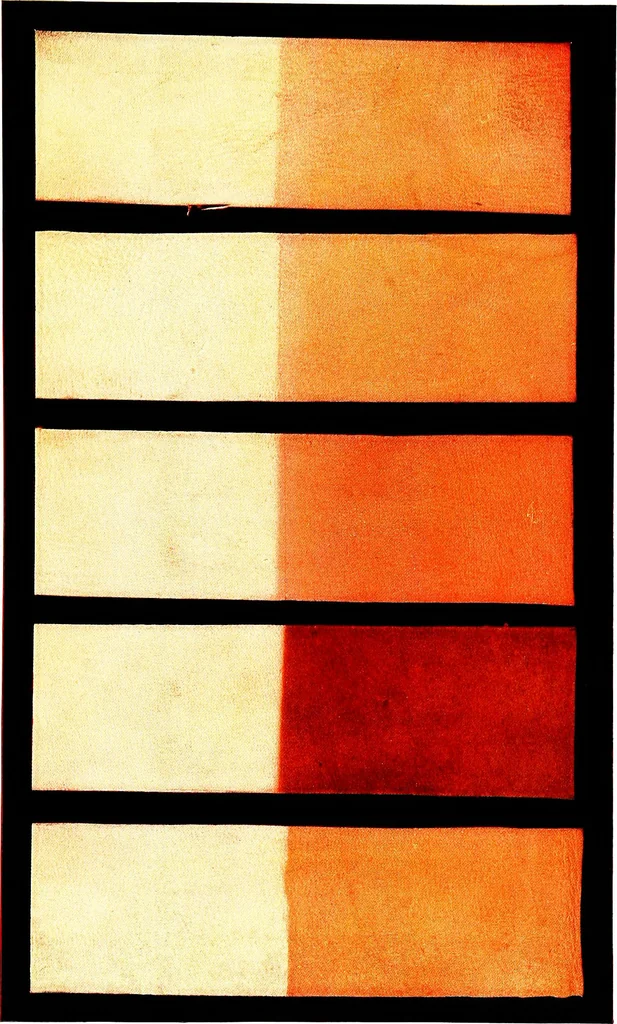 An illustration from Report of the Committee on leather for bookbinding, 1905, leaf 116