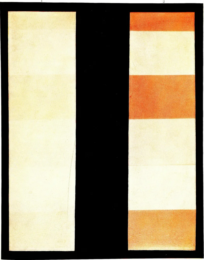 An illustration from Report of the Committee on leather for bookbinding, 1905, leaf 128