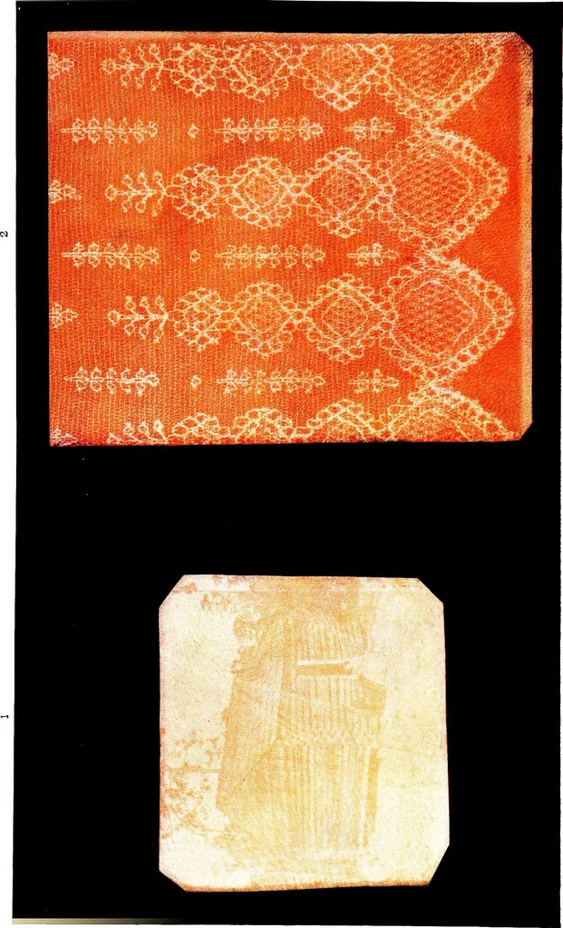 An illustration from Report of the Committee on leather for bookbinding, 1905, leaf 130