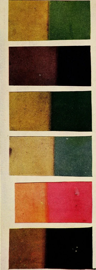 An illustration from Report of the Committee on leather for bookbinding, 1905, leaf 132