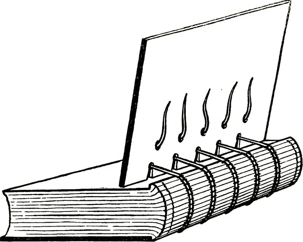 An illustration from Report of the Committee on leather for bookbinding, 1905, leaf 51