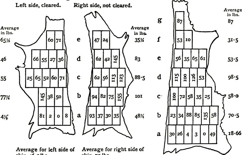 An illustration from Report of the Committee on leather for bookbinding, 1905, leaf 68