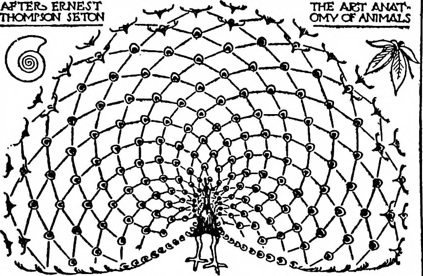 An illustration from The beautiful necessity; seven essays on theosophy and architecture, 1922, leaf 66