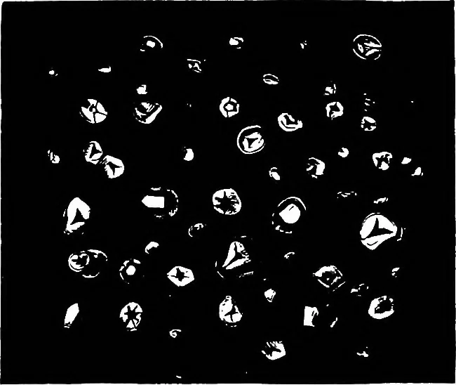 An illustration from The microscopy of vegetable foods : with special reference to the detection of adulteration and the diagnosis of mixtures, 1906, leaf 118