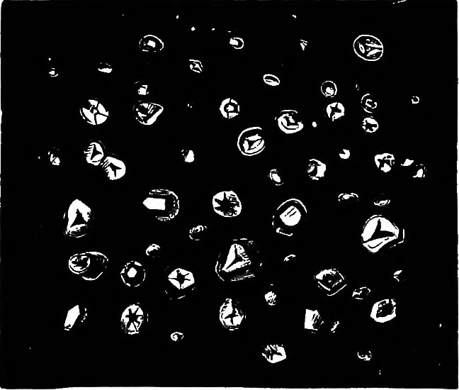 An illustration from The microscopy of vegetable foods : with special reference to the detection of adulteration and the diagnosis of mixtures, 1906, leaf 674