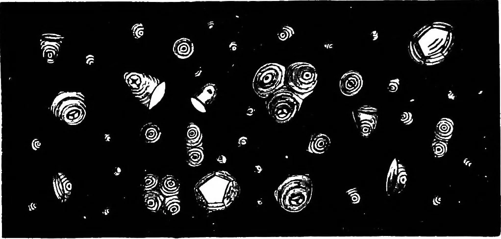 An illustration from The microscopy of vegetable foods : with special reference to the detection of adulteration and the diagnosis of mixtures, 1906, leaf 689
