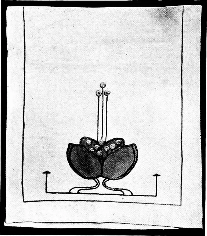 An illustration from Craftsman furnishing for the home, 1912, leaf 47