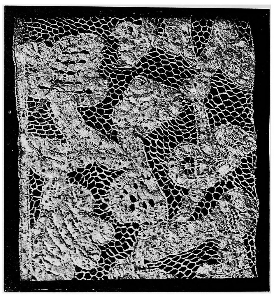 An illustration from A descriptive catalogue of the collection of lace in the South Kensington museum, 1881, leaf 165