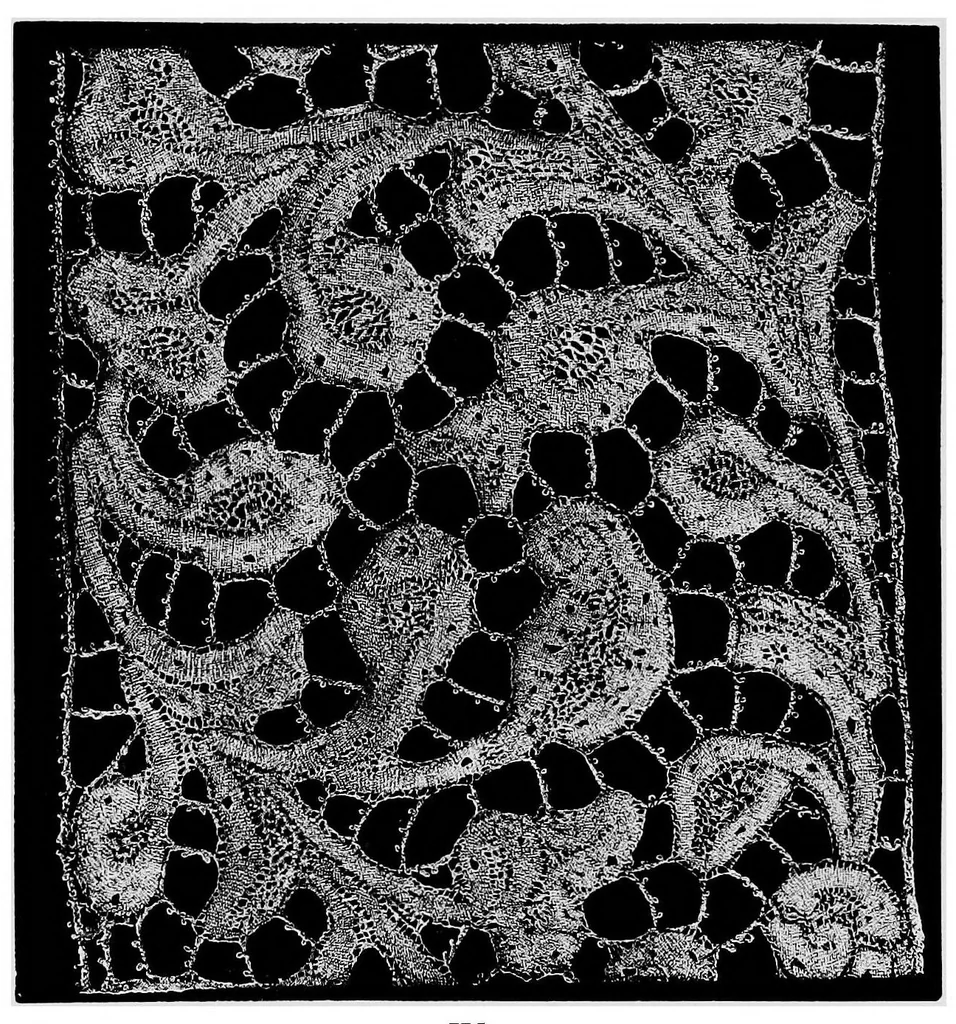 An illustration from A descriptive catalogue of the collection of lace in the South Kensington museum, 1881, leaf 97