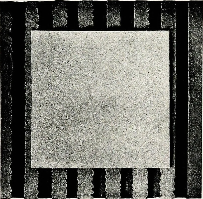 An illustration from Fireproof construction : for houses and other buildings of moderate cost, 1911, leaf 75