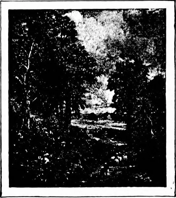 An illustration from The story of art throughout the ages; an illustrated record, 1904, leaf 295