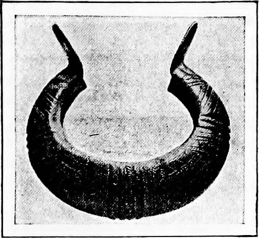 An illustration from The story of art throughout the ages; an illustrated record, 1904, leaf 30