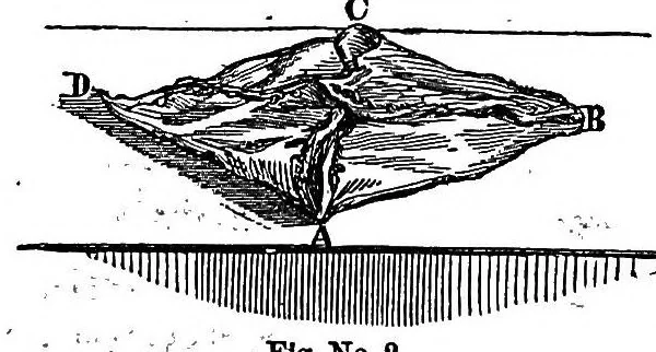 An illustration from The sociable, or, One thousand and one home amusements : containing acting proverbs, dramatic charades, acting charades, or drawing-room pantomimes, musical burlesques, tableaux vivants, parlor games, games of action, forfeits, science in sport, and parlor magic, and a choice collection ofcurious mental and mechanical puzzles, &c., &c. : illustrated with nearly three hundred engravings and diagrams, the whole being a fund of never-endingentertainment, 1858, leaf 379