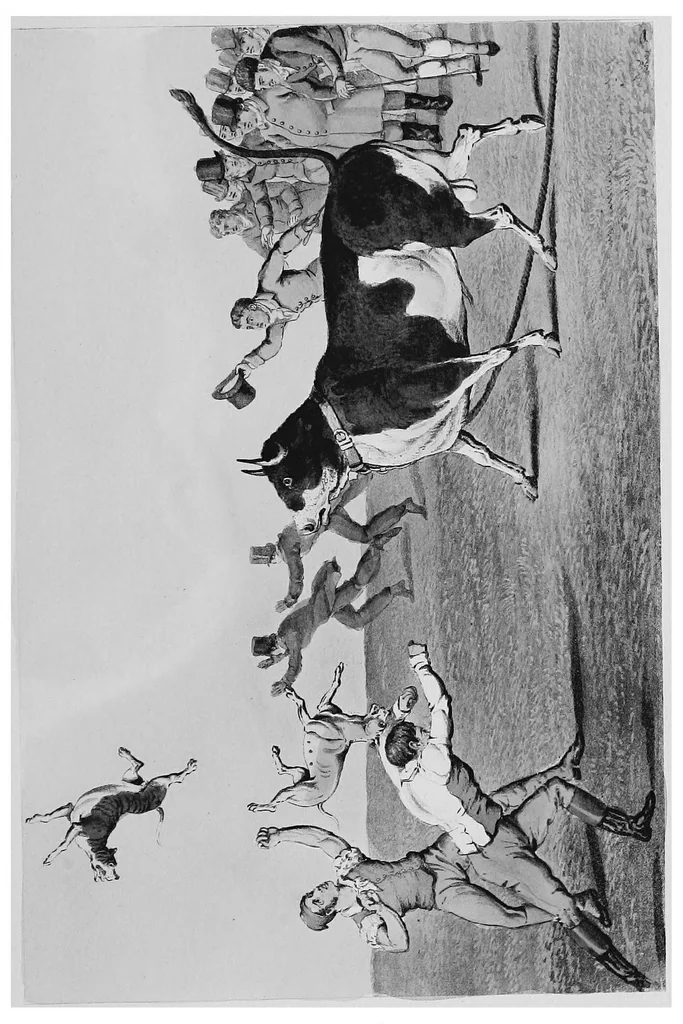 An illustration from The amusements of old London; being a survey of the sports and pastimes, tea gardens and parks, playhouses and other diversions of the people of London from the 17th to the beginning of the 19th century, 1901, leaf 26