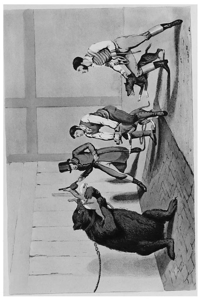 An illustration from The amusements of old London; being a survey of the sports and pastimes, tea gardens and parks, playhouses and other diversions of the people of London from the 17th to the beginning of the 19th century, 1901, leaf 62