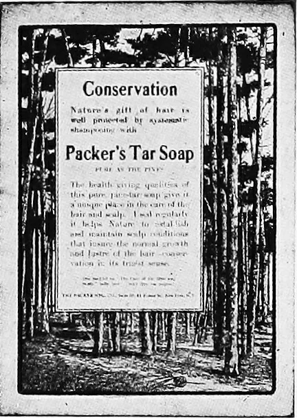 An illustration from Advertising and selling; principles of appeal and response, 1913, leaf 29