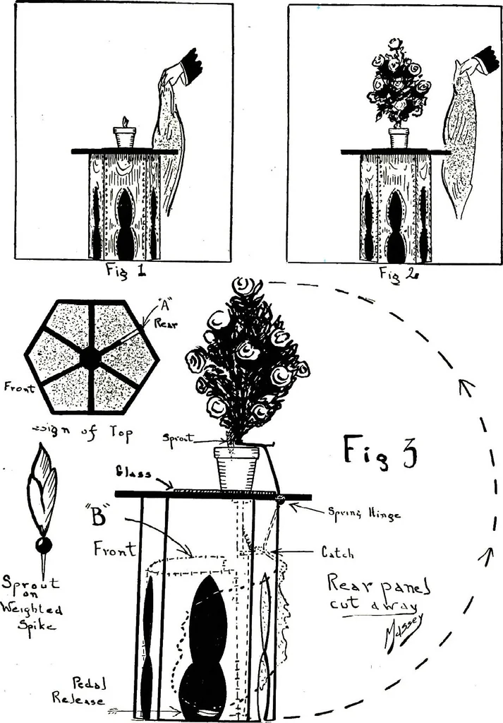 An illustration from New and original magic : comprising a number of novel and entertaining effects, a fund of information for the professional artist and his younger brother, the amateur, 1922, leaf 161